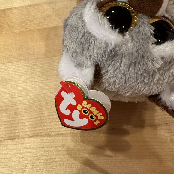 TY Beanie Boos - OAKIE the Raccoon (Glitter Eyes)(Regular Size - 6 inch) Plush - Picture 3 of 5